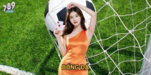 Bóng đá